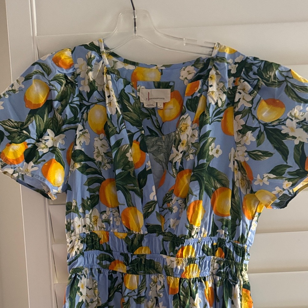 Anthropologie Lemon Print Somerset Dress Small
